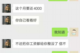 南城为什么选择专业追讨公司来处理您的债务纠纷？